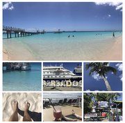 8th Mar 2020 - Barbados 