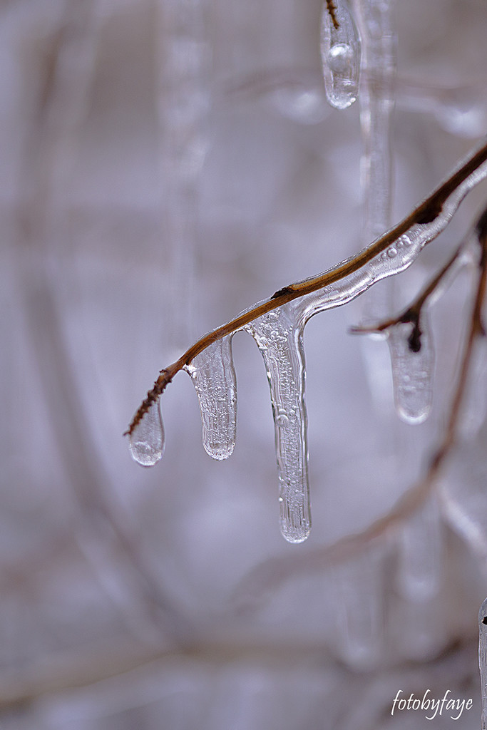 Frozen droplets by fayefaye