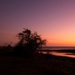 Sunrise silhouette by kiwinanna