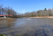 8th Mar 2020 - Chatham County Wildlife Club pond