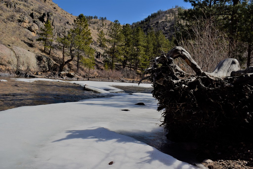 Poudre Canyon by sandlily