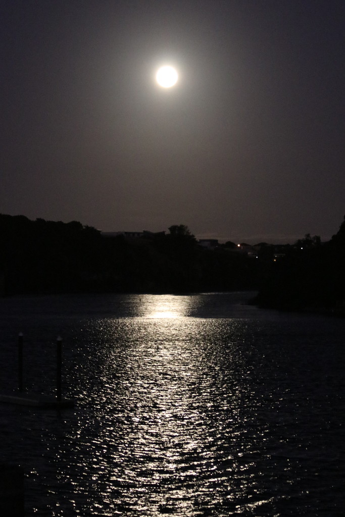 Moon river by gilbertwood
