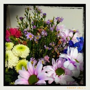 7th Mar 2020 - Mon papa m'a offert des fleurs. Juste comme ça.