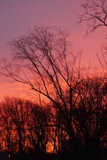 9th Mar 2020 - Red sky in the morning