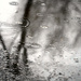 March Rain by gq