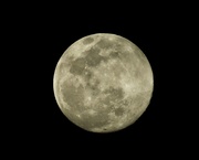 8th Mar 2020 - First Successful Moon Shot