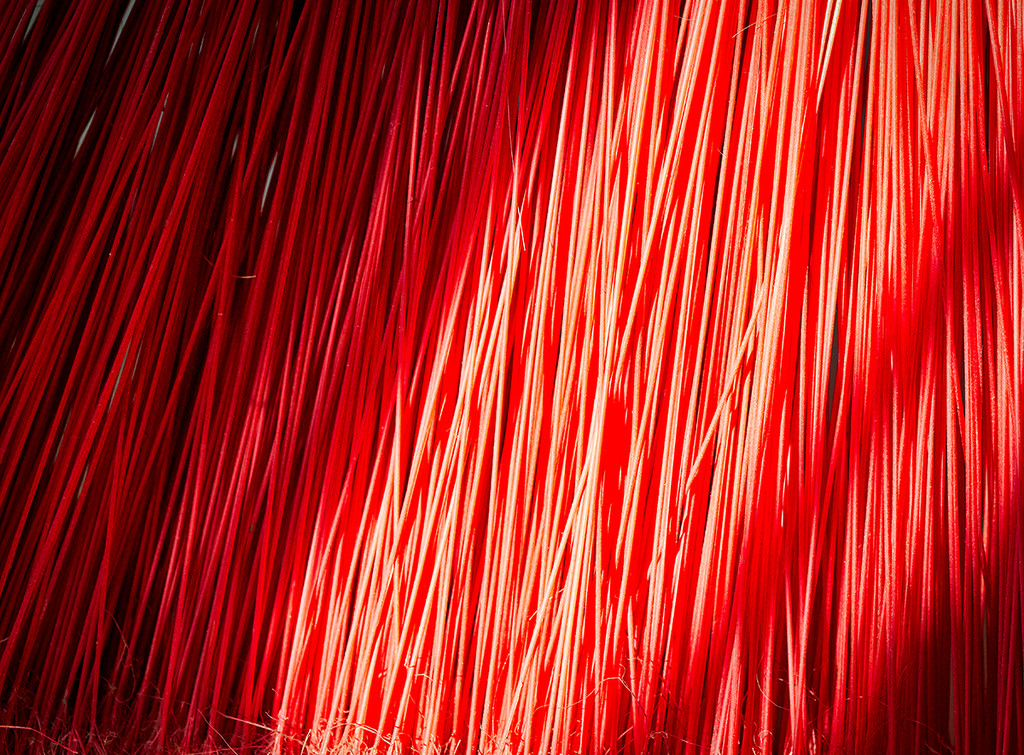Red Broom by gardencat
