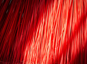 9th Mar 2020 - Red Broom