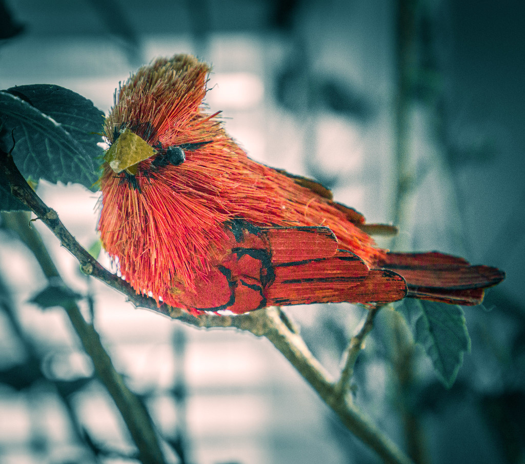 Red bird by randystreat