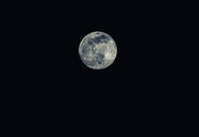9th Mar 2020 - Full Moon