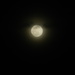 Super Worm Moon  by sfeldphotos