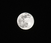9th Mar 2020 - March Moon