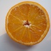 Orange 2 by jacqbb