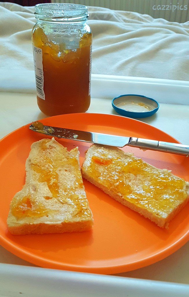 Orange Marmalade by serendypyty