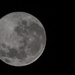 The Harvest Full Moon Supermoon - March 2020 - Southern Hemisphere by kgolab