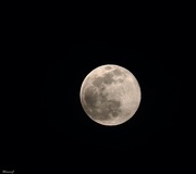 10th Mar 2020 - Full moon