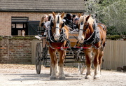 7th Mar 2020 - Carriage Ride