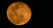 10th Mar 2020 - A Day Late on the Super Moon!