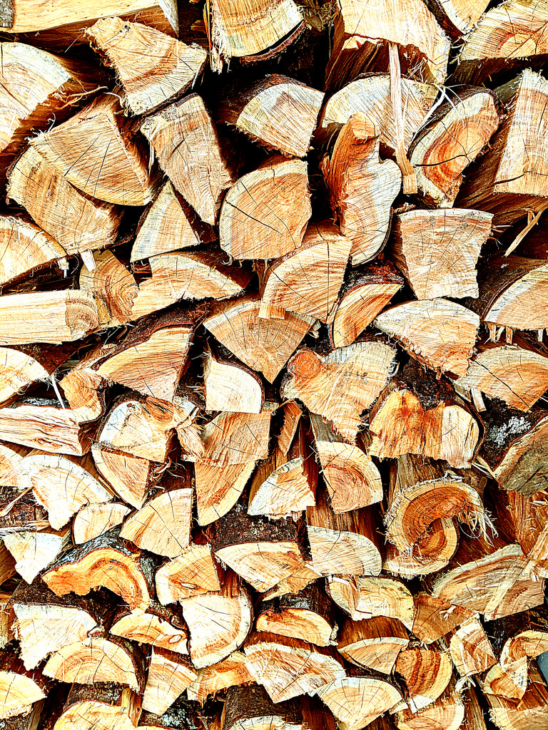 The Wood Pile by sandradavies