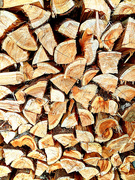 12th Mar 2020 - The Wood Pile