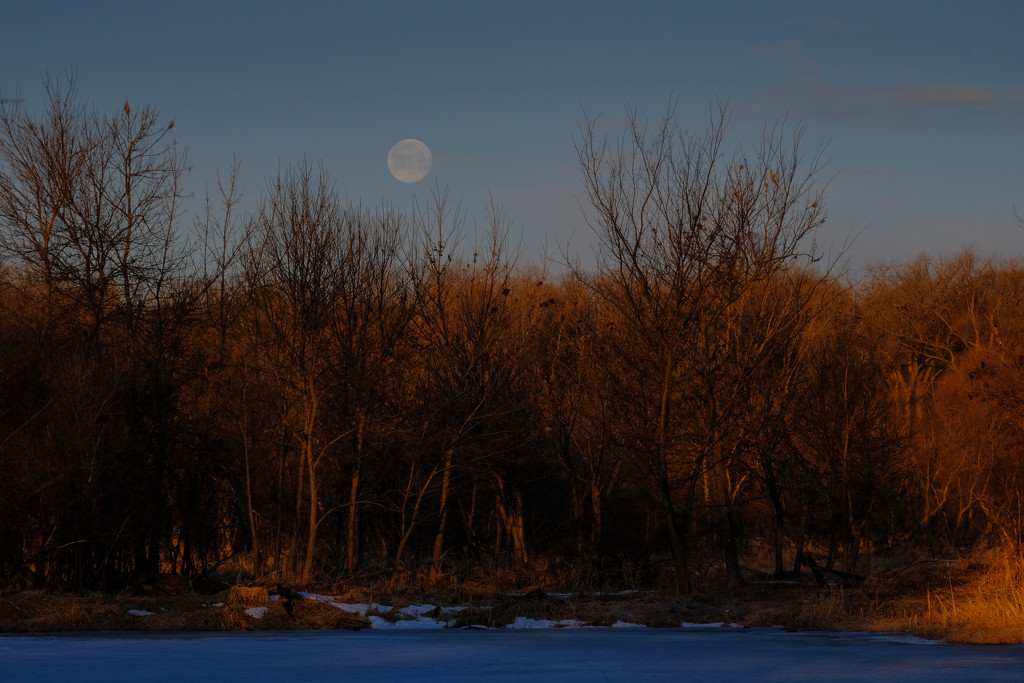 Full Moon at Sunrise by tosee