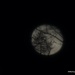 Full Moon  by selkie