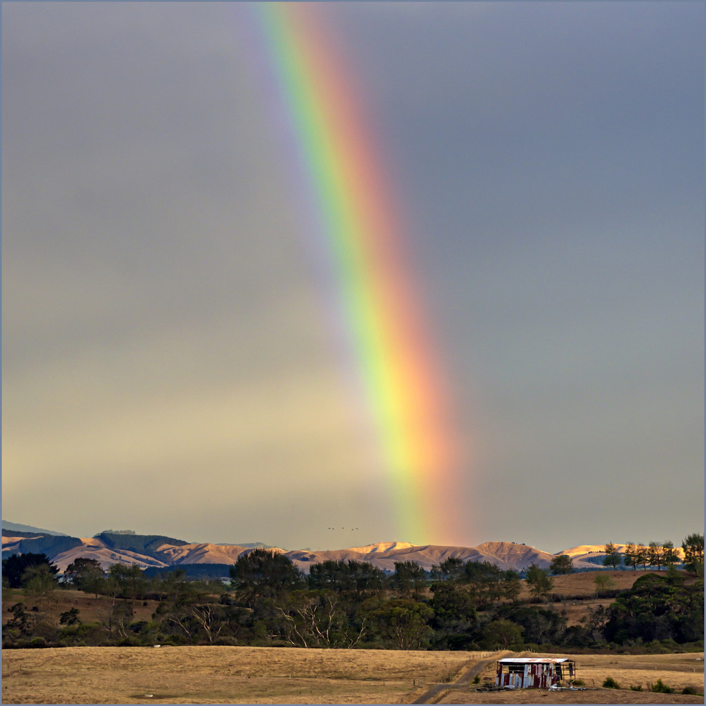 Rainbow Month 2020 by nickspicsnz