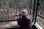 12th Mar 2020 - Shooting Pictures From The Open Car On The Durango Steam Engine