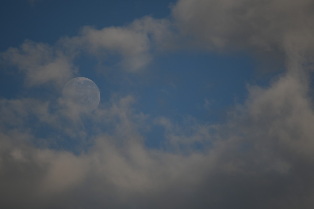 Moon dancing with the morning clouds. by kgolab