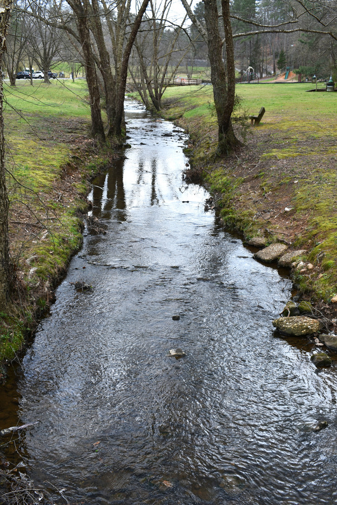 Creek on a beautiful spring day by homeschoolmom