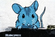 6th Mar 2020 - The Blue mouse