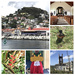 St Johns, Grenada by bigmxx