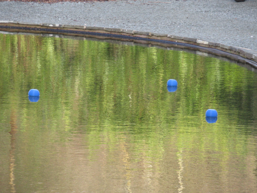blue buoys by anniesue