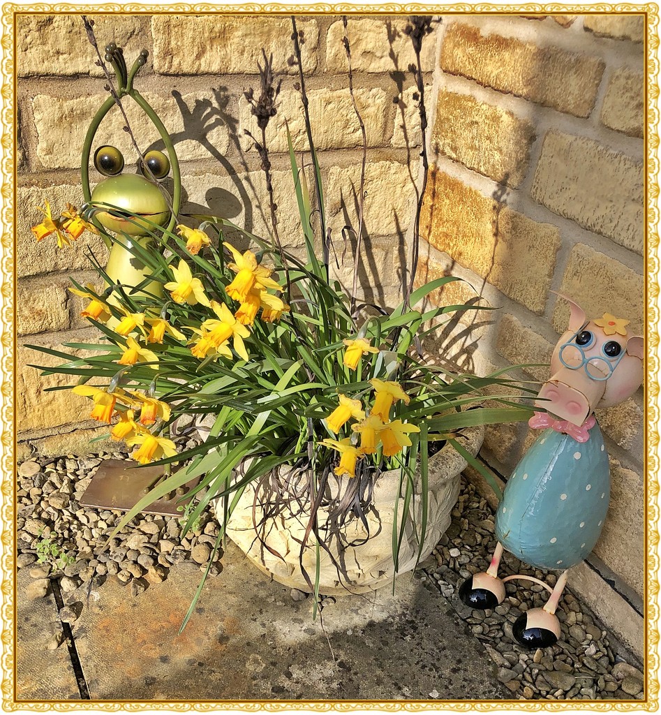 A Daff Picture with Kermit and Miss Piggy by ladymagpie