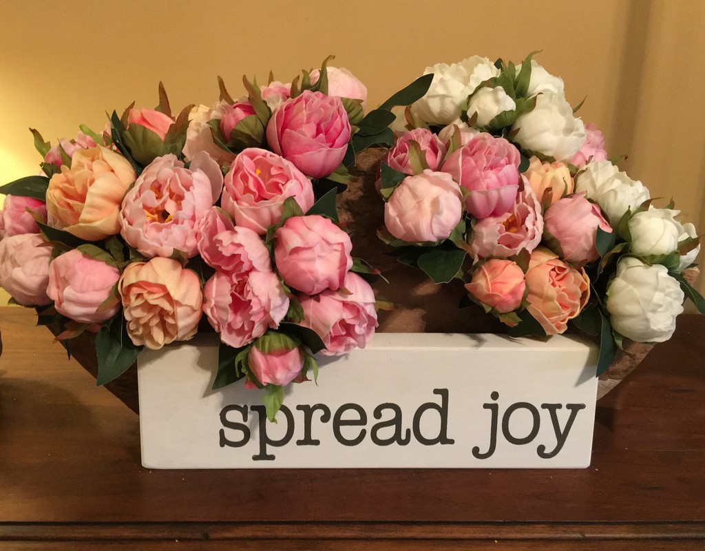 Always remember to spread joy! by essiesue