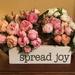 Always remember to spread joy! by essiesue