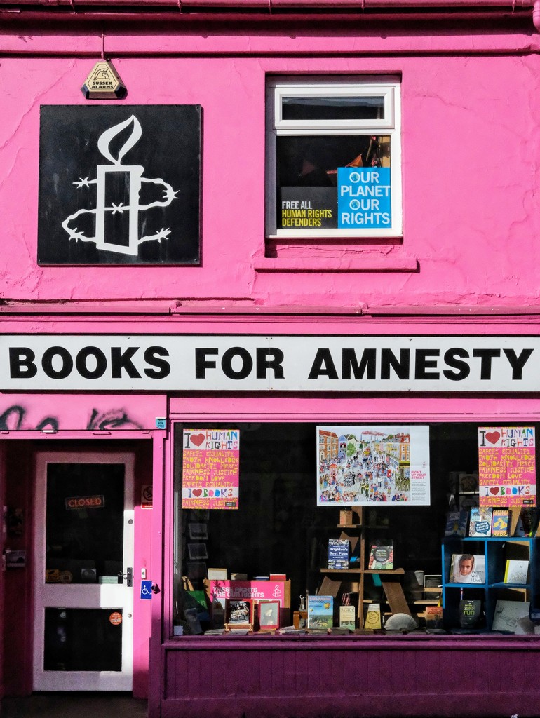 Pink Bookshop by 4rky