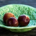 Plums Still life  by brigette