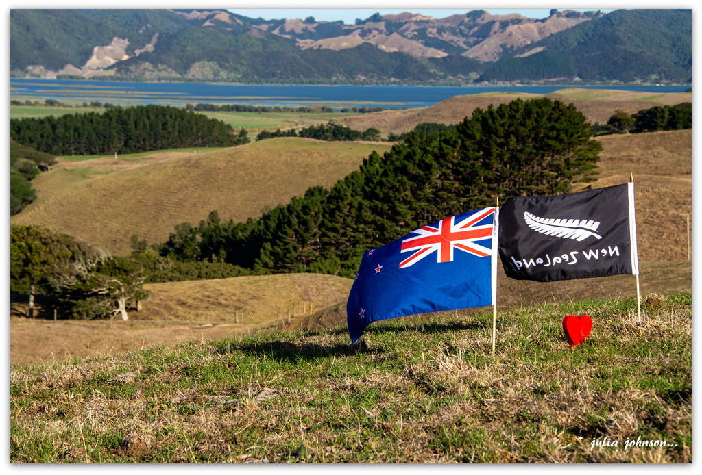 We love New Zealand .. or is it dnalaeZ weN ... by julzmaioro