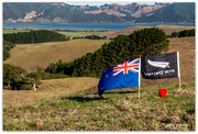 15th Mar 2020 - We love New Zealand .. or is it dnalaeZ weN ...