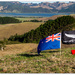 We love New Zealand .. or is it dnalaeZ weN ... by julzmaioro