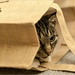 let the cat out of the bag! by lastrami_