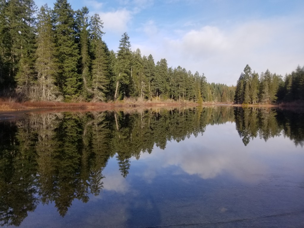 Reflecting on the Lake by kimmer50