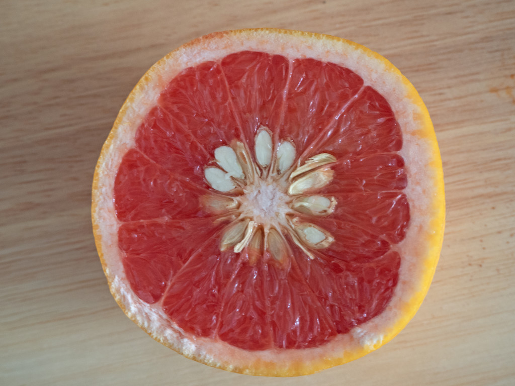 Grapefruit by josiegilbert