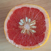Grapefruit by josiegilbert