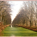 green canal by gijsje