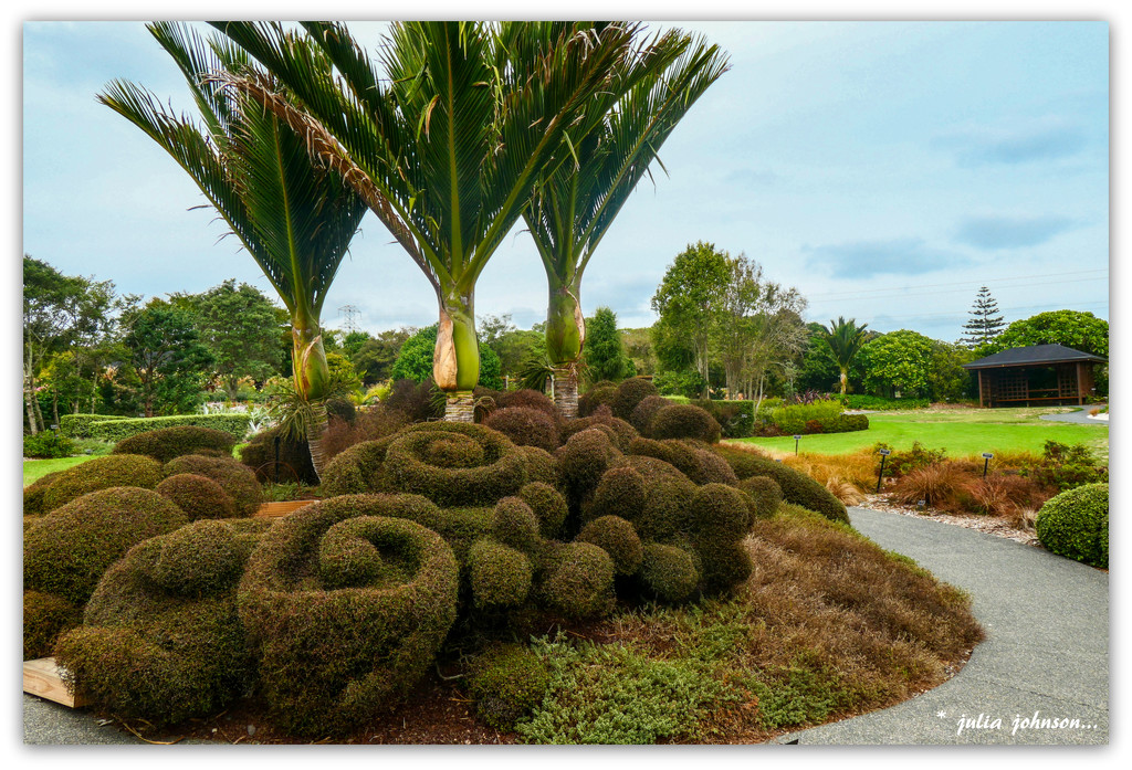 Auckland Botanical Gardens .. by julzmaioro