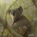 atmospheric Newman by koalagardens