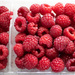 Red Raspberries by kwind