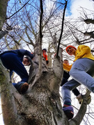 15th Mar 2020 - Kids in Trees